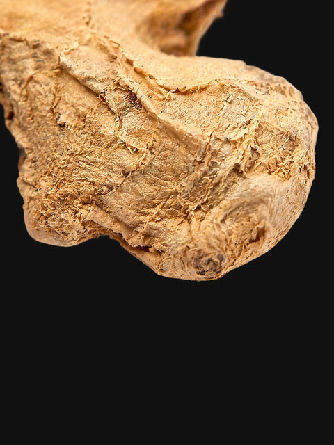 RACINE DE GINGEMBRE